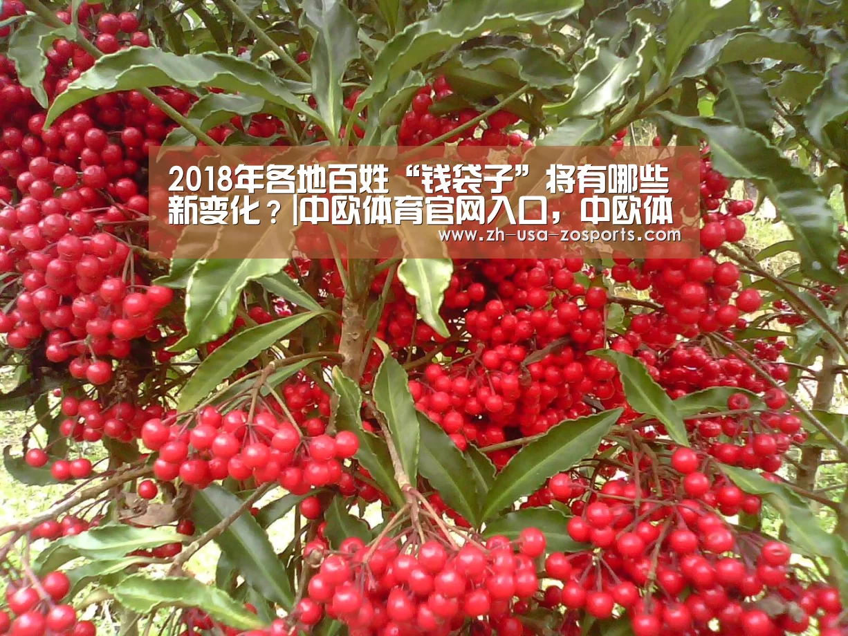 中欧体育官网入口，中欧体育官方下载，中欧体育平台