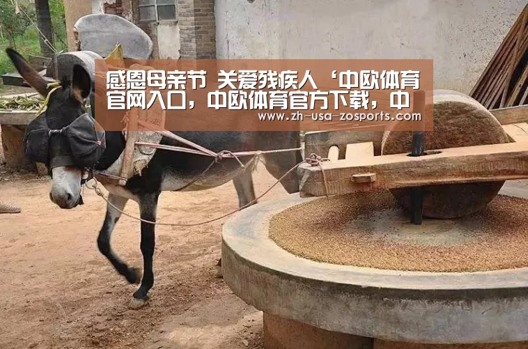 感恩母亲节 关爱残疾人‘中欧体育官网入口，中欧体育官方下载，中欧体育平台’