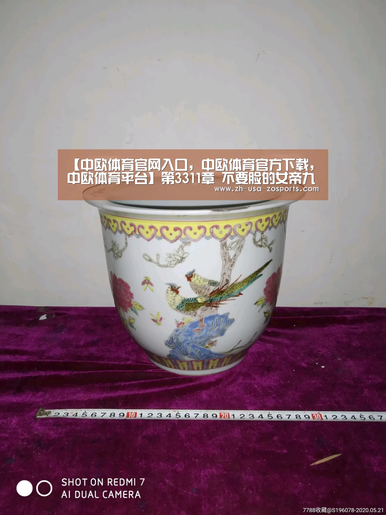 【中欧体育官网入口，中欧体育官方下载，中欧体育平台】第3311章 不要脸的女帝九
