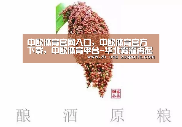 中欧体育官网入口，中欧体育官方下载，中欧体育平台-华北雾霾再起致18城重度污染 